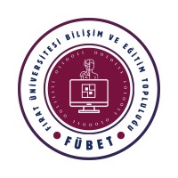 Fırat Üniversitesi Bilişim Ve Eğitim Topluluğu (FÜBET) logo - Similar company to Code 23 Fırat