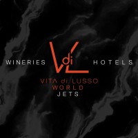Vita di Lusso World logo - Similar company to Iworku Co., Ltd
