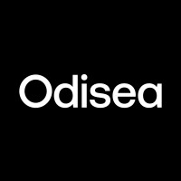 Odisea logo - Similar company to Fleetbrains