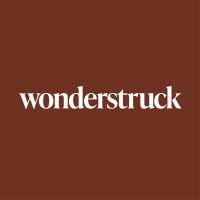 Wonderstruck logo - Similar company to Q Retail
