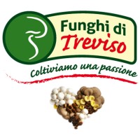 Consorzio Funghi di Treviso logo - Similar company to Opendream - Spazi Multifunzionali