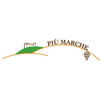 Più Marche logo - Similar company to Dna