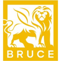Bruce Groups