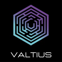 Valtius.io logo - Similar company to Gemed Cybersecurity
