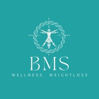 BMS logo - Similar company to Brijflow, Sales Acceleration Boutique