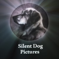 Silent Dog Pictures logo - Similar company to Beofilm