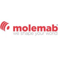 Molemab Mexico SA de CV logo - Similar company to Molemab Spa