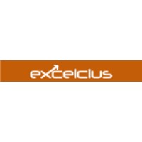 EXCELCIUS LTD logo - Similar company to Exelsius
