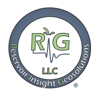 Reservoir Insight Geosolutions logo - Similar company to Discovery Geosolutions Sdn Bhd