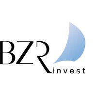 BZR INVEST logo - Similar company to D'Erlon Immo Pro