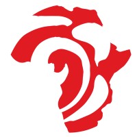 Access Financial Service logo - Similar company to Select Financial Services - Malawi