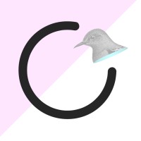 Okursus