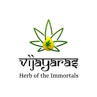 Vijayaras logo - Similar company to Aycs Running