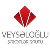 Veyseloglu Group of Companies logo - Similar company to Avrora Group