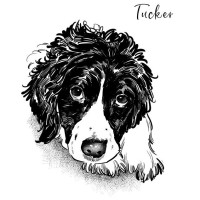 Tucker Realty Llc