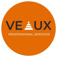 Veaux Professional Services, LLC logo - Similar company to Connectpro Software