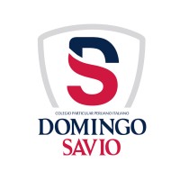 Colegio Domingo Savio Arequipa logo - Similar company to Savio Education Global