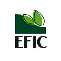 Egyptian Financial and Industrial Company logo - Similar company to Orientals Group