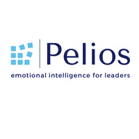 Pelios Ltd logo - Similar company to Valuassure