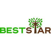 BestStar Holding logo - Similar company to Arabian Blockchains