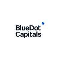 BlueDot Capitals logo - Similar company to Bluedot Project