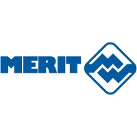 Merit Automotive Electronics Systems. logo - Similar company to Kn Integra Agh