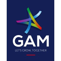 Groupement des Annonceurs du Maroc GAM logo - Similar company to Webloo