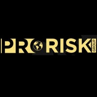 Prorisk Group/ Security and Consulting Services/ Risk Management and Investigations in Latin America logo - Similar company to Security Risk Ahead