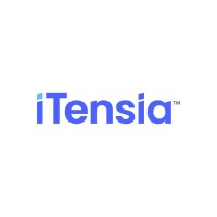 iTensia logo - Similar company to Wandrstar
