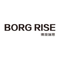 BORGRISE 博观瑞思 logo - Similar company to Borgrise Us