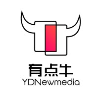 深圳有点牛传媒有限公司