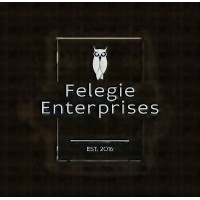 Felegie Enterprises logo - Similar company to Barsandbooths.Com, Inc.