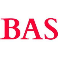 Bank's-Audit-Service logo - Similar company to Arg & Co