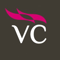 Vector Capital S.L.U (Grupo Bankia) logo - Similar company to Behappy Co.