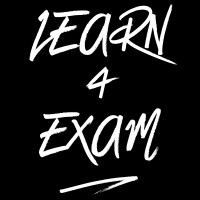 Learn4exam logo - Similar company to Travinto Technologies