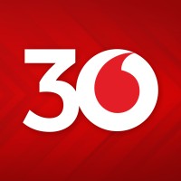 Telsim logo - Similar company to Chris Johnson Business It Solutions