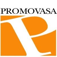 PROMOVASA logo - Similar company to Norforest