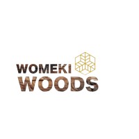 Womeki Infra logo - Similar company to Womeki Group