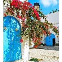 TuniSia My Love ••ღ logo - Similar company to Korbous ••ღ