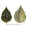 Breathe Art Studio logo - Similar company to Khushboo Welfare Society