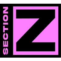 Section Z logo - Similar company to Upskilling Coaches