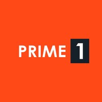 Prime One Global logo - Similar company to Kochasoft