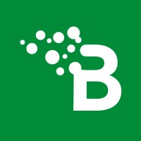 Bineo Consulting logo - Similar company to Muskae - A Good Rebels Company