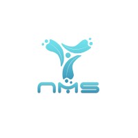 Nainomindz Solutions logo - Similar company to Tekprism Inc