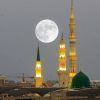 diyanet logo - Similar company to Ditch The Ditty
