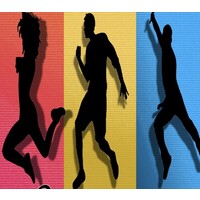 Lets Dance Meshtek logo - Similar company to Meshtek