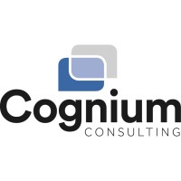 Cognium Consulting logo - Similar company to Cognium