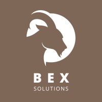 Bex Solutions logo - Similar company to Tcsi Consulting Ltd.