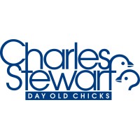 Charles Stewart Day Old Chicks (Malawi)