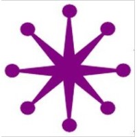 ANISE Consulting logo - Similar company to Ripped Orange New Zealand